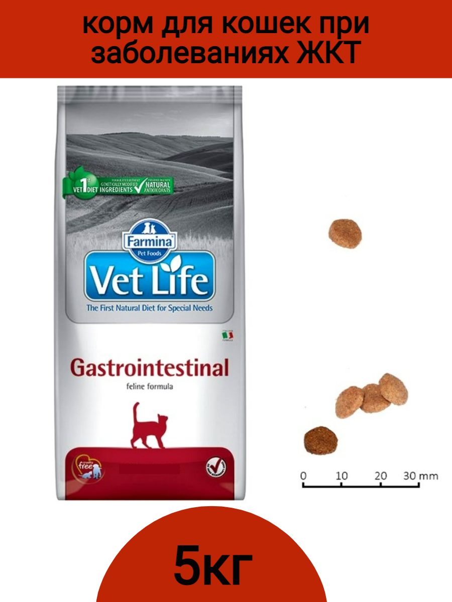 Сухой корм vet life. Vet Life Gastrointestinal корм для кошек. Фармина корм гастро для кошек 2 кг. Фармина гастро Интестинал для кошек. Farmina vet Life Gastro intestinal для кошек 10 кг.