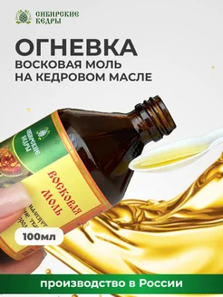 Огневка (восковая моль)