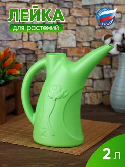 Лейка для комнатных растений