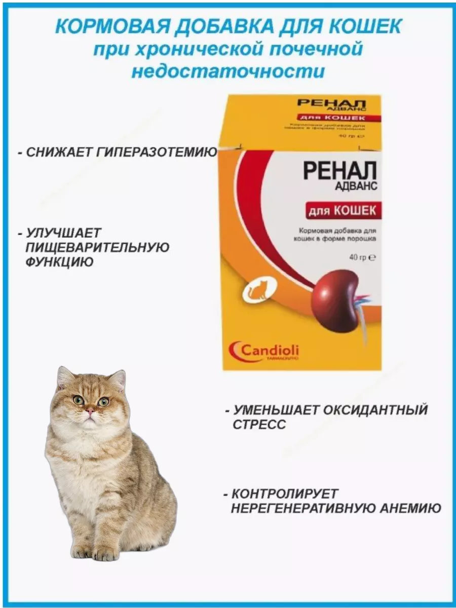 Купить нефроантитокс для кошек