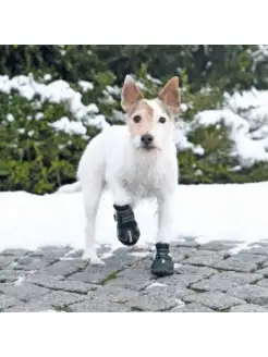 Ботинки Walker Active для собак, S-M