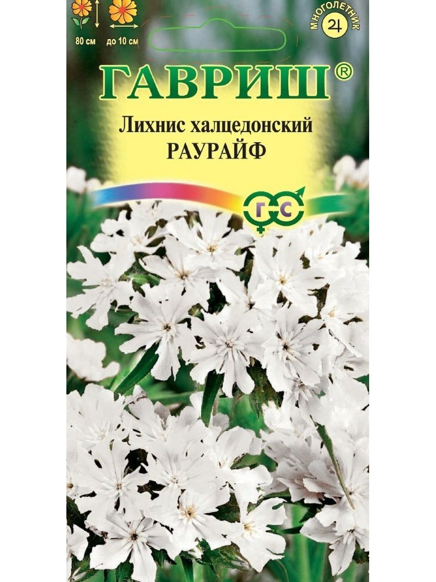 Лихнис халцедонский Раурайф