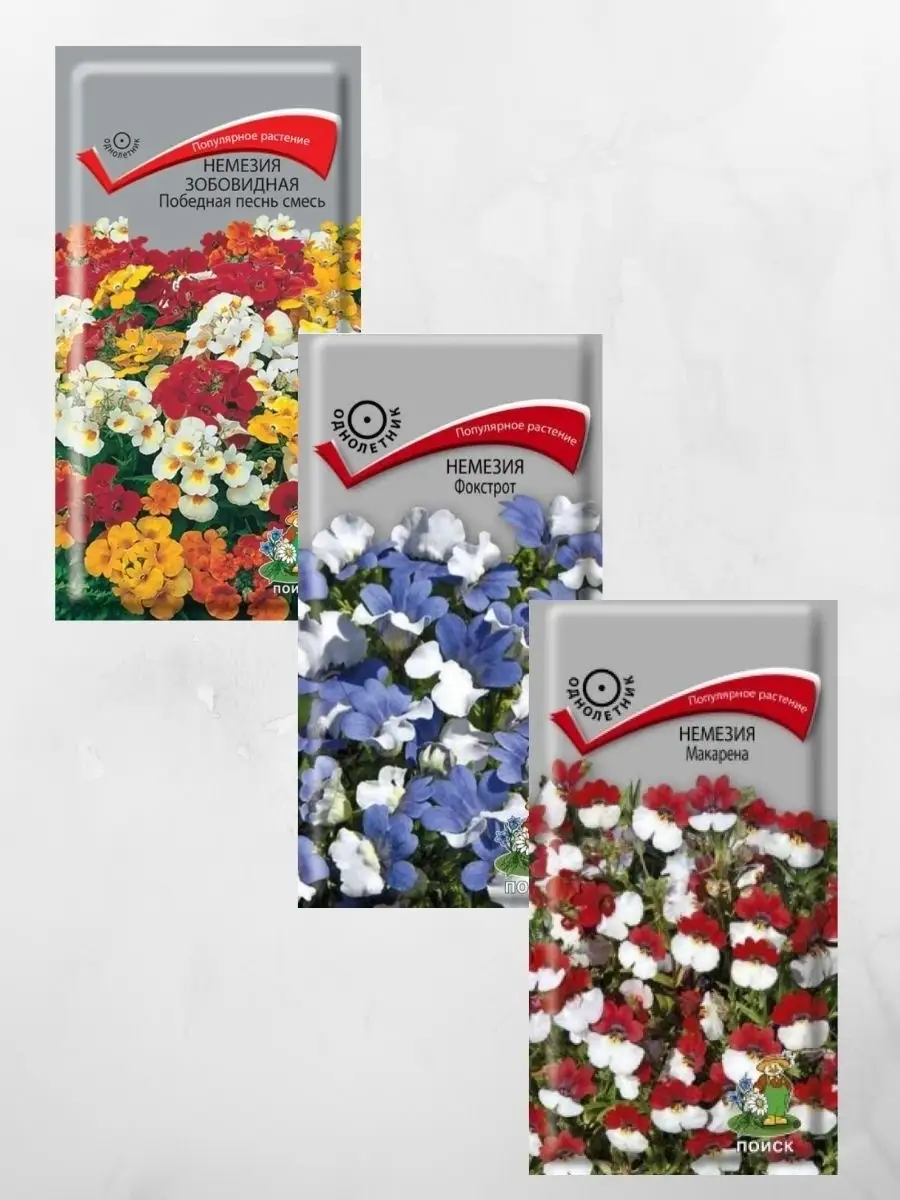 Семена Немезии Купить В Спб