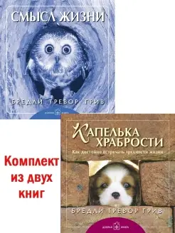 2 кн КАПЕЛЬКА ХРАБРОСТИ+ СМЫСЛ ЖИЗНИ Б.Т. Грив тв. переплёт