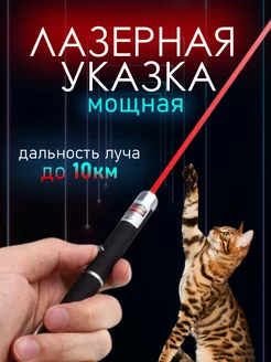 Лазерная указка игрушка для кошек и собак