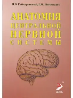 Анатомия центральной нервной системы. И