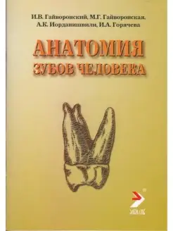 Анатомия зубов человека, 4-е издание, ис