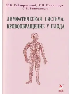 Лимфатическая система. Кровообращение у