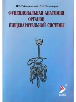 Функциональная анатомия органов пищеварительной системы