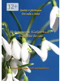 Подснежник (Galanthus) - дыхание весны