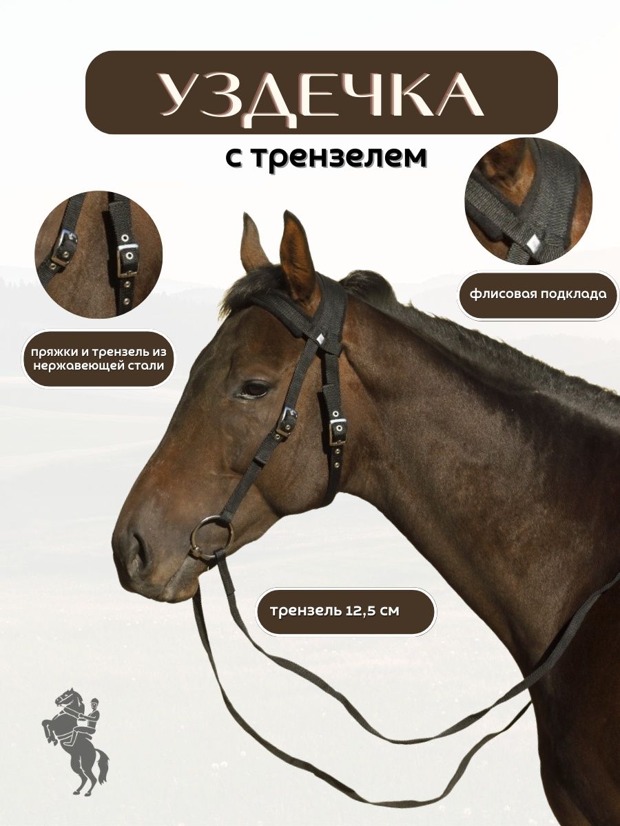 Уздечка для лошади: виды, строение, размер, как сделать своими руками