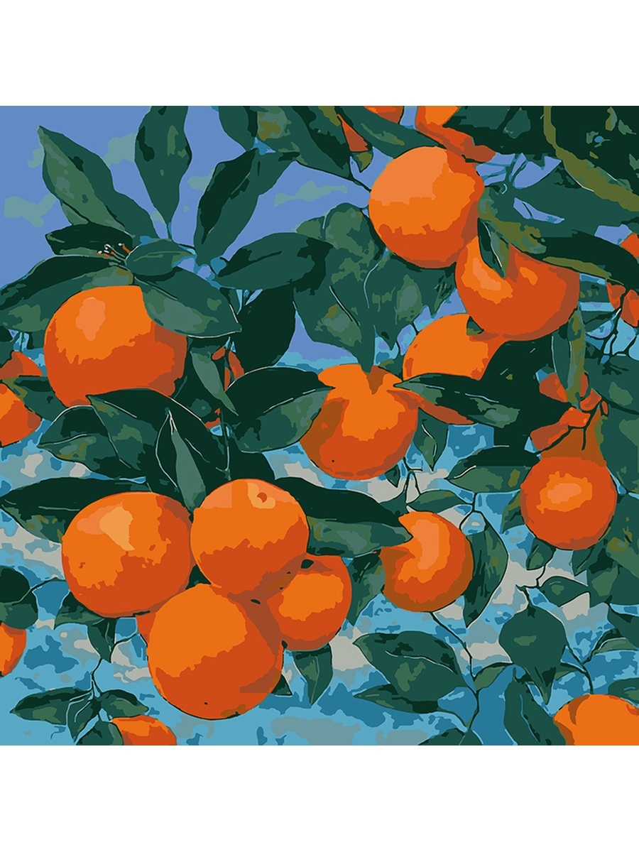 Эстетика апельсинов