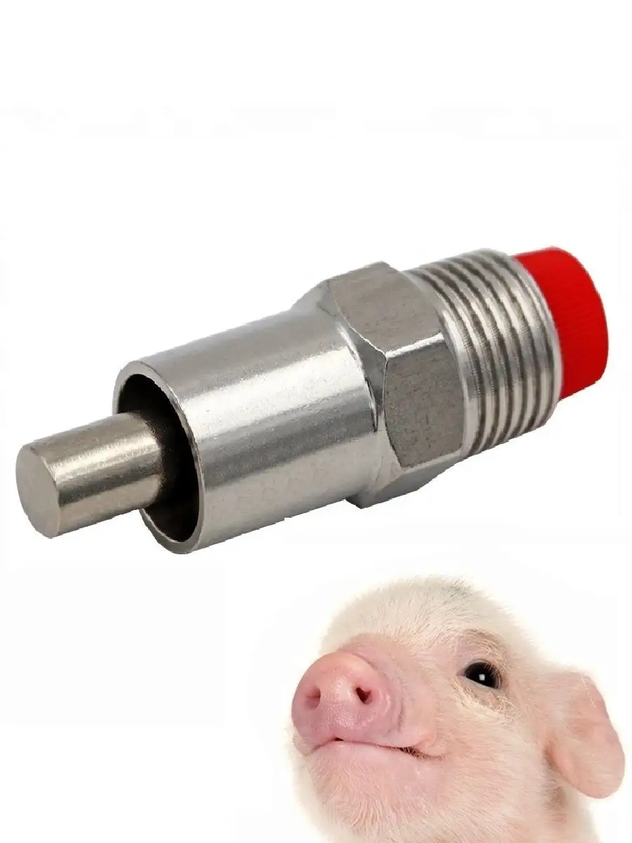 Оборудование для кормления свиней и поросят: перечень предложений