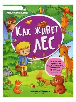 Книжка с наклейками "Моя первая энциклопедия"