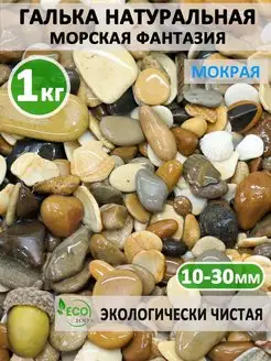 Галька Морская фантазия 10-30 мм 1 кг