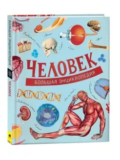 Книга Человек. Большая энциклопедия школьника