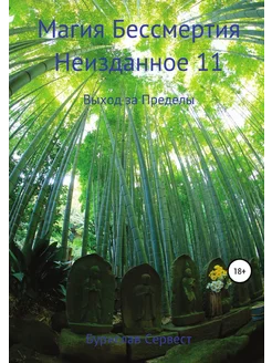 Магия Бессмертия. Неизданное 11. Выход за Пределы