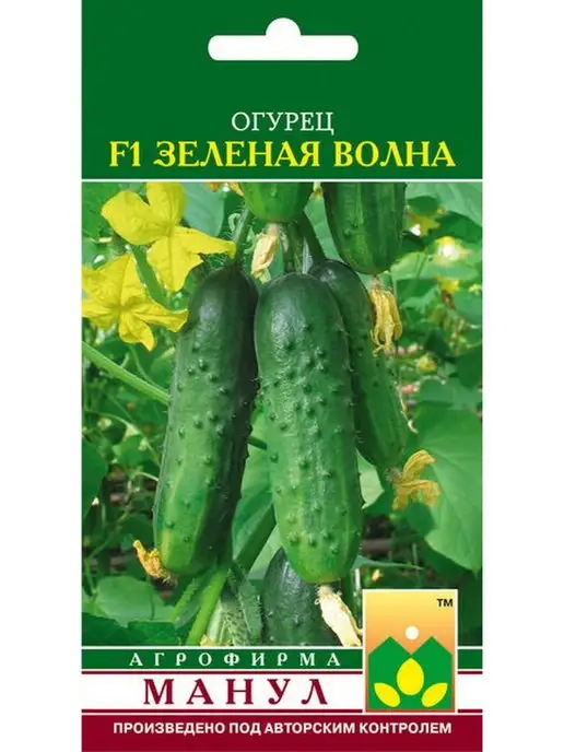 Сельдерей черешковый Гигант восточный - 2 упаковки УМ.семена 151617996купить в интернет-магазине Wildberries