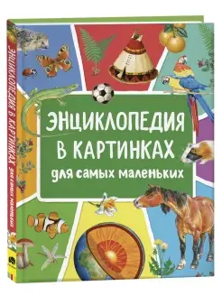 Книга для детей Энциклопедия в картинках