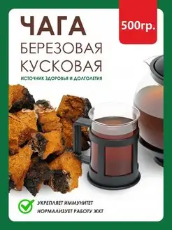 Чага березовая кусковая 500 гр