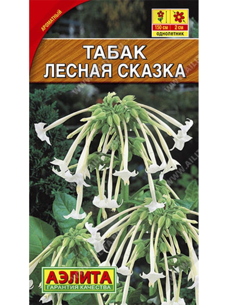 Табак лесная сказка фото