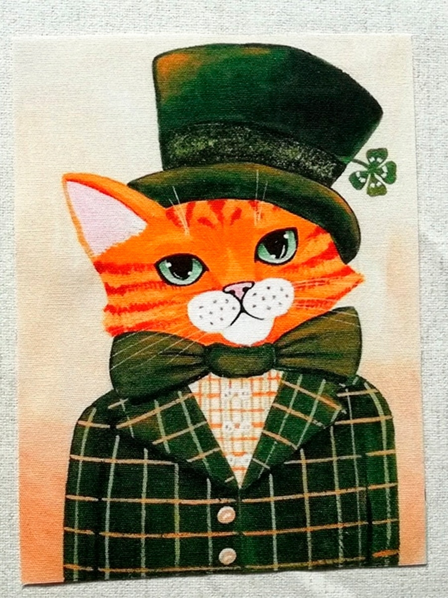 Кот ирландец