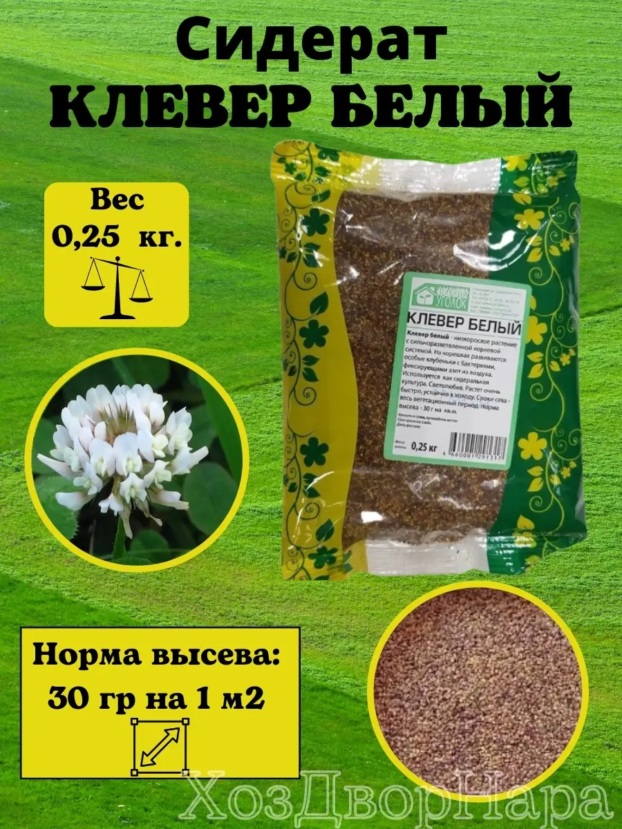Семена Клевера Купить В Леруа