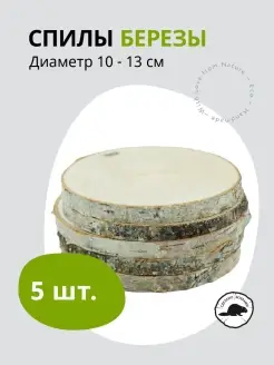 Спилы березы 5 шт. диаметр 10-13 см