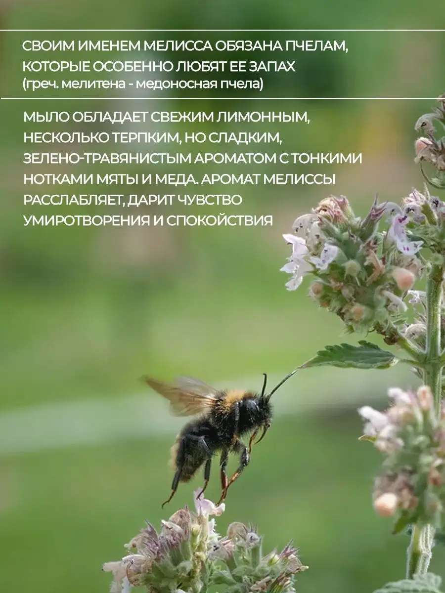 Бельди Мелисса с иловой грязью, 150 мл Лавандовый край 51073445 купить за  406 ₽ в интернет-магазине Wildberries