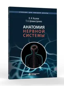 Анатомия нервной системы. Учебное пособие для студентов