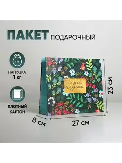 Подарочный пакет ламинированный Present for you