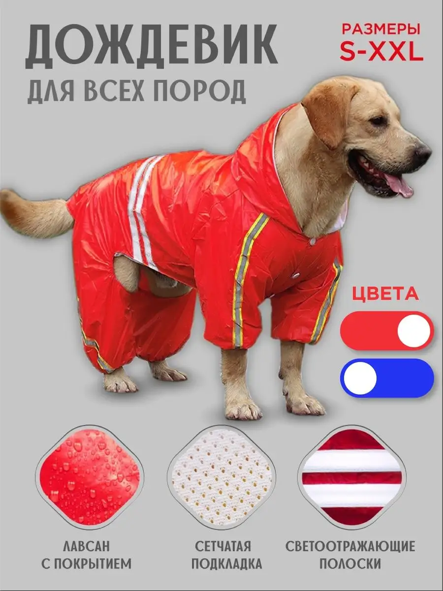 Одежда для собак в Дог Сити с примеркой