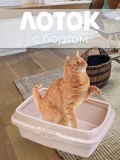 Лоток для котят с бортом