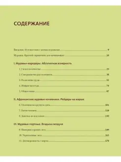 Приключения среди муравьев. Путешествие по земному шару