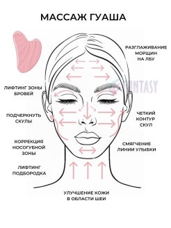 Массаж лица гуаша схема скребком