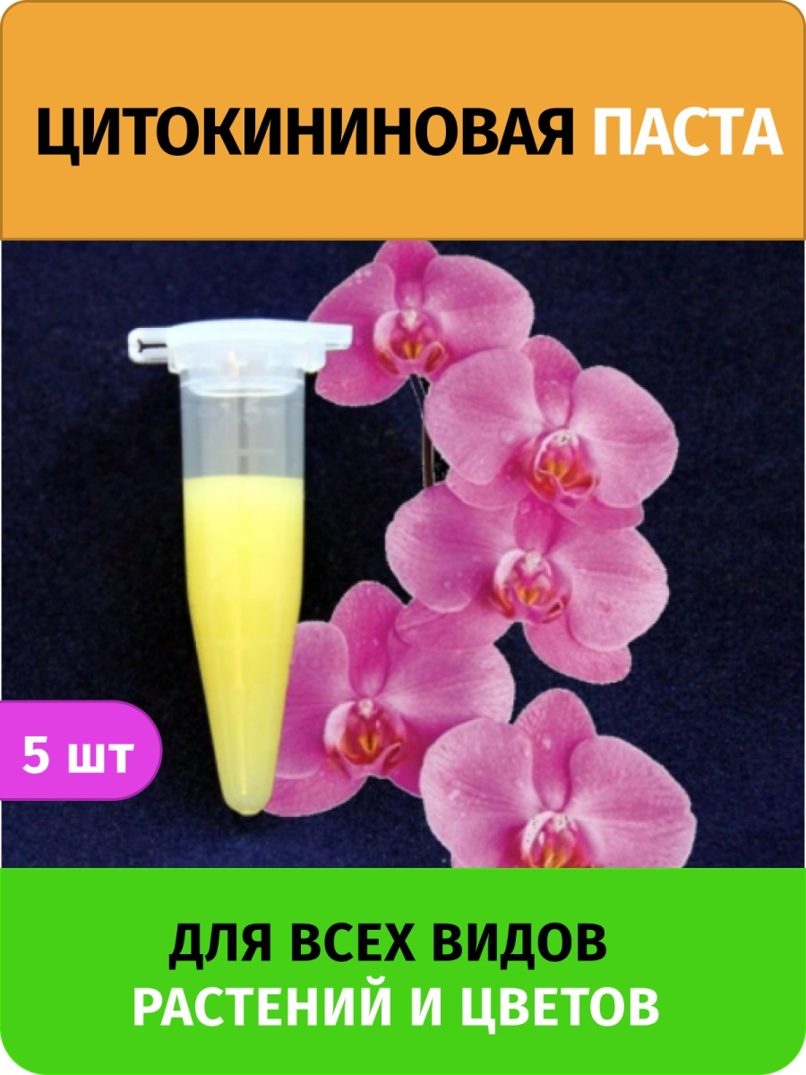 цитокининовая паста фото орхидей
