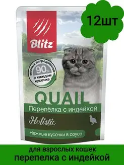 Корм влажный д кошек Holistic,перепелка с индейкой,85гр,12шт