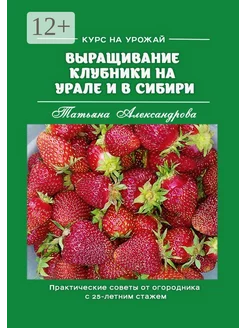 Курс на урожай Выращивание клубники на Урале и в Сибири