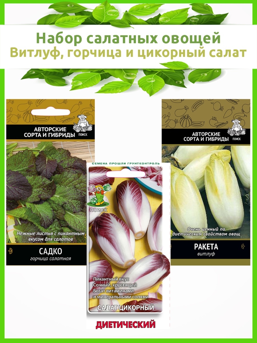 Поиск / Семена набор Салатные Овощи: Витлуф Ракета, Горчица Семена партнерприроды 55647390 купить в интернет-магазине Wildberries