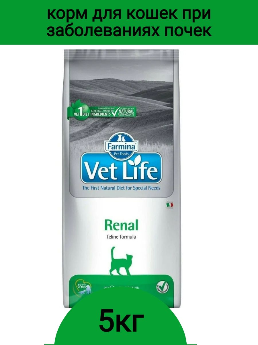 Vet life отзывы для кошек. Farmina renal для кошек. Vet Life корм для кошек. Farmina vet Life renal. Vet Life renal для кошек.