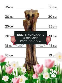 Кость большая с жилами для собак конская