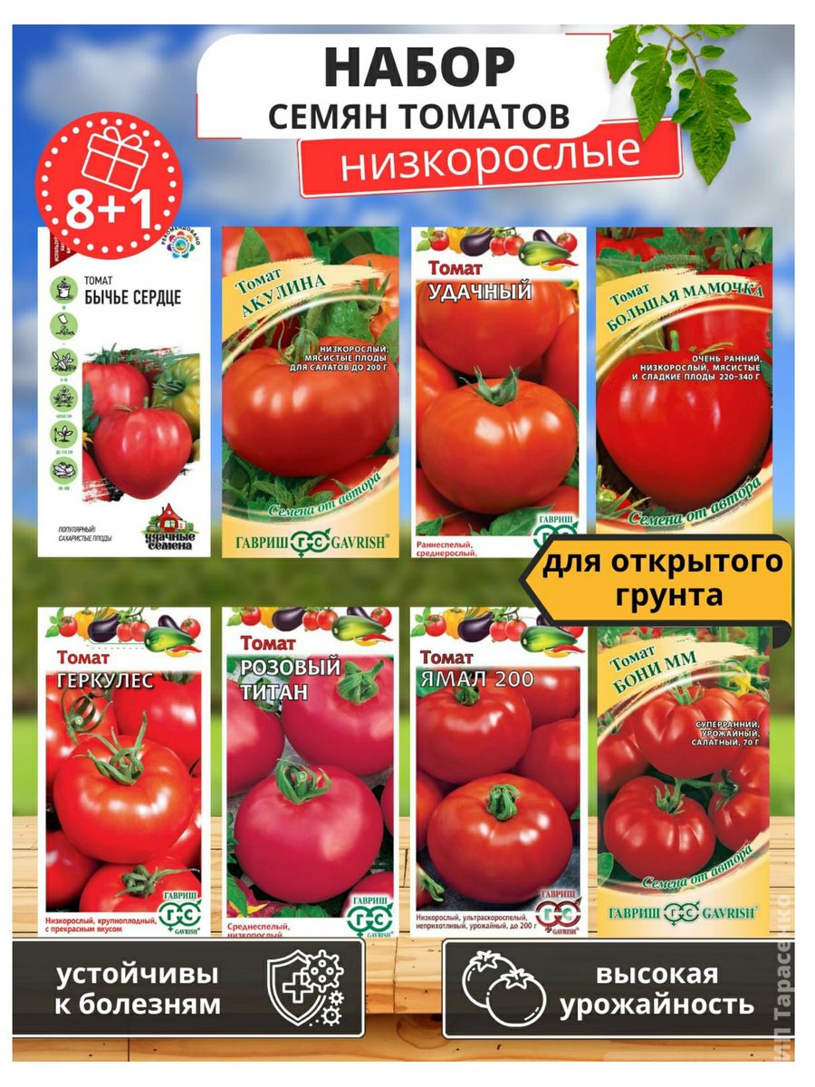 семена томаты низкорослые