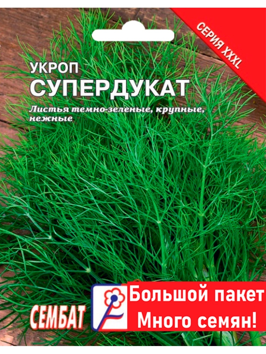 Томат катрин отзывы. Укроп Супердукат ое Кольчуга.