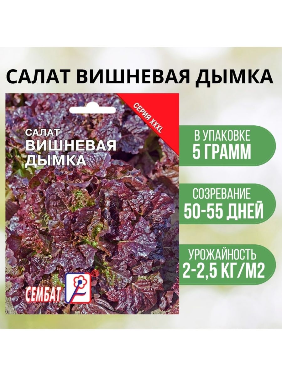 Салат вишневая дымка фото