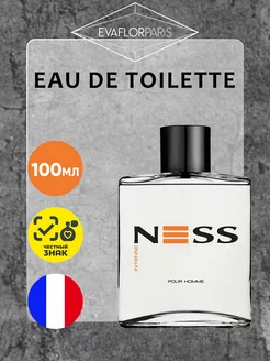 Ness Intense Туалетная вода (edt) 100мл