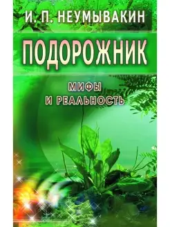 Подорожник. Мифы и реальность