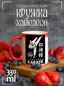 Кружка хамелеон Karate (каратэ)