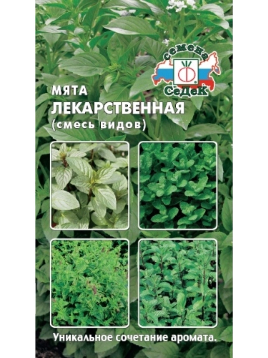 Фирма седек почтой. Пряность мята ментол Садовая 0,05г Гавриш уд семена. Мята лекарственная смесь сортов СЕДЕК. Мята сорта семена. Мята Болотная семена.