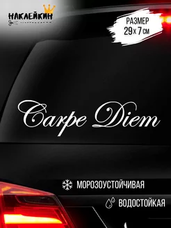 Наклейка на авто "Сarpe Diem" - 29 см