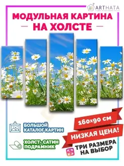 Картина на стену модульная Цветы, ромашки, поле 160х90